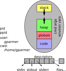 A process, and many of its properties.